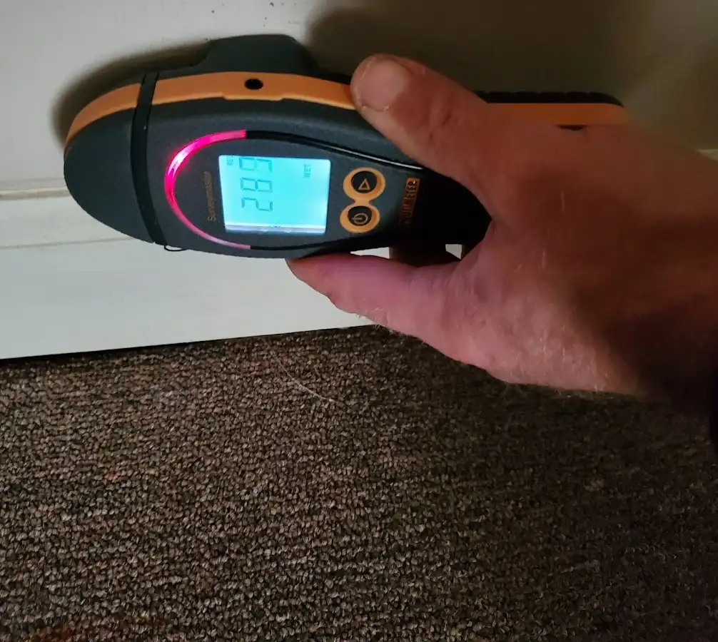 Moisture detection at baseboard during Sewage Cleanup & Sanitation in West Haven